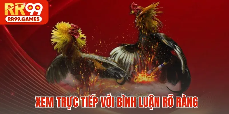 Xem trực tiếp với bình luận rõ ràng và chuyên nghiệp